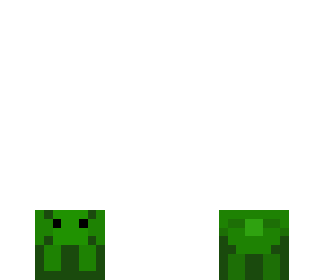 tortuga