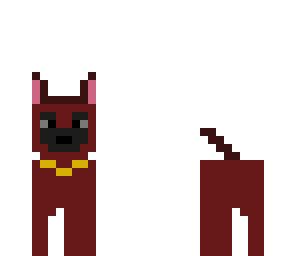 dog skin