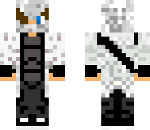 assassin pro