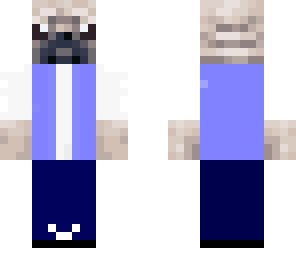 puggy ash