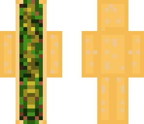 taco