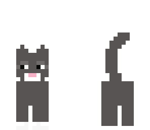 my cat