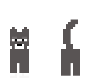 black cat