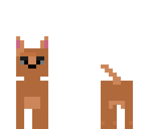 doggy