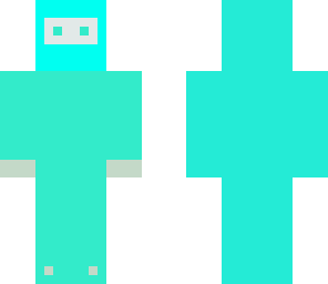 blue ninja