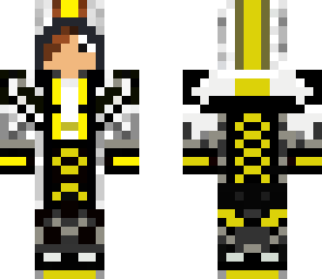 assassin ninja copy not my work