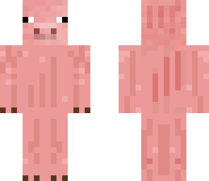 pig