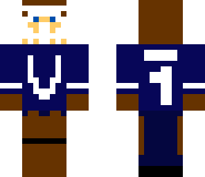 hockey man goltander