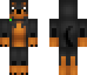 dog24