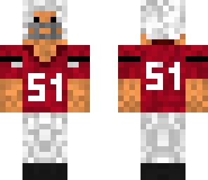 arizona cardinals