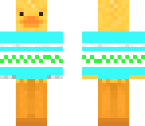 duck in a sweater