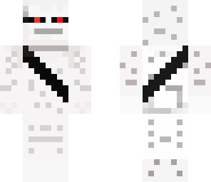 snow ninja