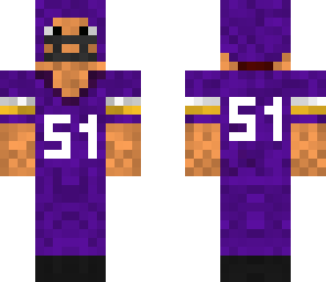 minnesoda vikings