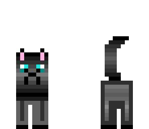black cat
