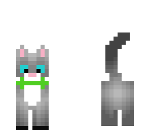 kitty