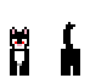 the cat of evil