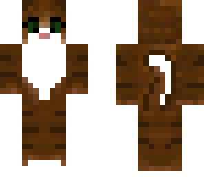 tabby cat
