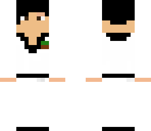 kung fu master