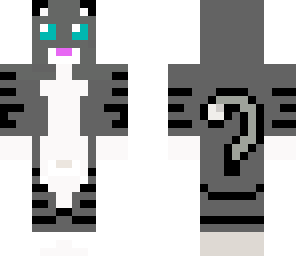 new kitty cat