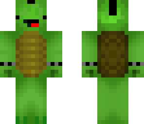 punk turtle