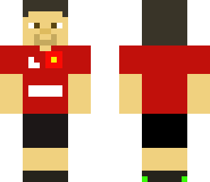 robin van persie