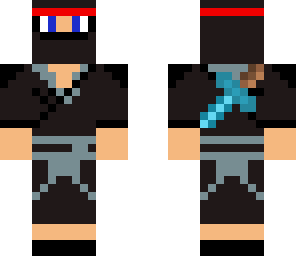 the ninja