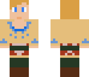 link skyward sword no tunic