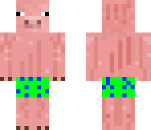 paddle pig