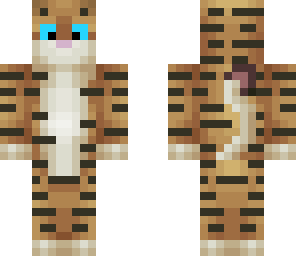 tiger with different eyes