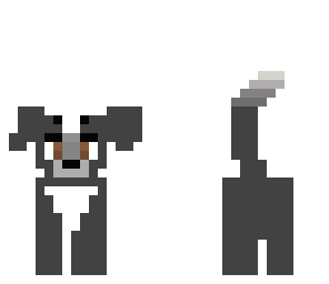 puppy