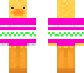 duck in a sweater3