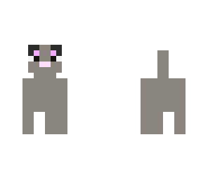 grey kitty