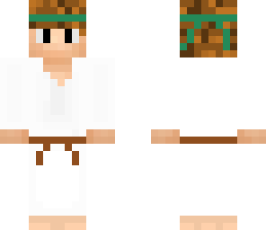 karate apprentice