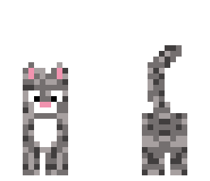 variegated cat 2