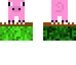 pig on a farm