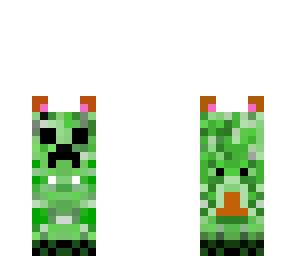 baby creeper cat