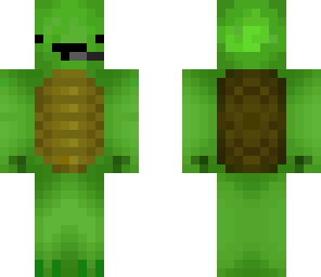 turtle with head-set