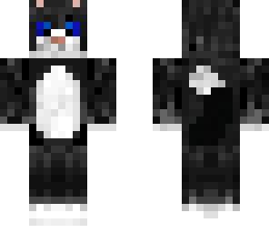 cat black cool