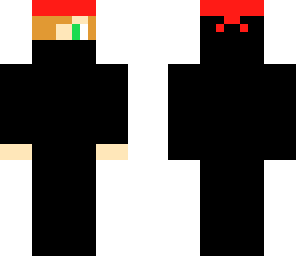 ninja skin