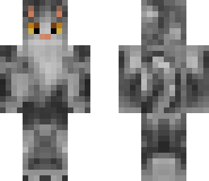 grey puss cat
