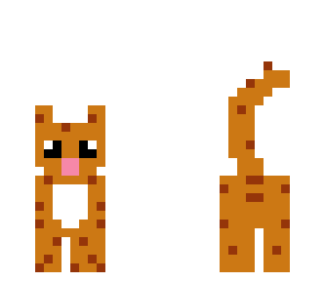 kitten