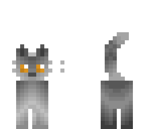 my cat sebastian
