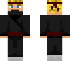 ninja dude
