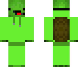 dj derp turtle