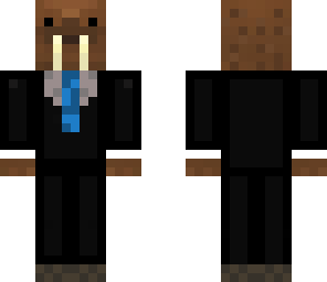follow 4 walrus