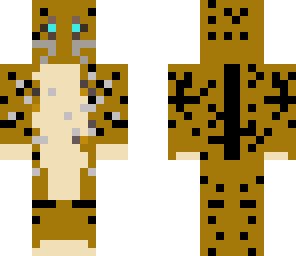 cheetah