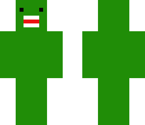 camo domo