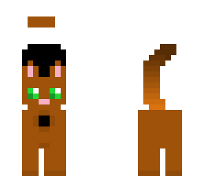 crap cat