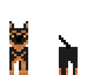 eddis dog