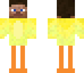steve duck